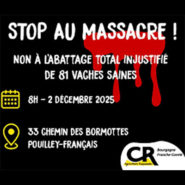 Nos éleveurs trahis par une administration devenue folle !