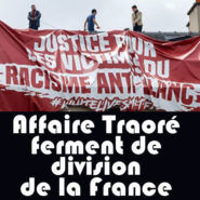 Quelques vérités sur l’affaire Traoré …