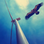 Eoliennes : ces parasites que vous enrichissez !