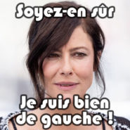 « La haine anti-Bolloré ne prend pas de congés. »