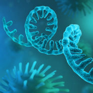 L’ADN humain est modifié par le vaccin ARN Pfizer !