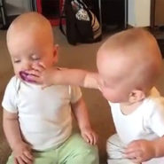 « M’sieur, M’sieur, Ils font rien que nous dénigrer ! »