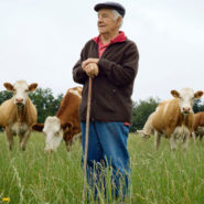 Nous ne pouvons pas, laisser disparaitre nos paysans !