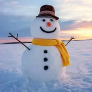 Un bonhomme de neige pas assez inclusif …