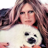 Dieu merci, on échappera à l&rsquo;éloge de BB par Macron !