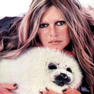 Dieu merci, on échappera à l&rsquo;éloge de BB par Macron !