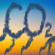 Make CO2 Great Again !