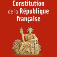 Suppression du mot race dans la Constitution :  « Il n’y a là que bigoterie et vertuisme  !»