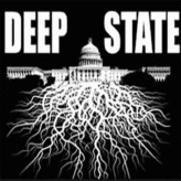 A l’assaut de l’Etat profond américain …