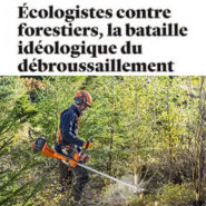 Mégafeux : les écolos contre les forestiers !