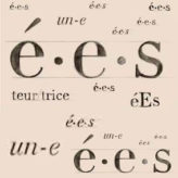 Provence-Alpes-Côte d’Azur : à bas l’écriture inclusive !