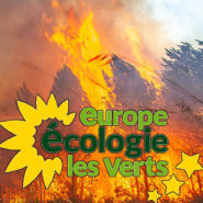 Incendie de la Teste-de-Buch : bravo les écolos !