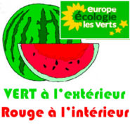 Le strabisme idéologique des Verts est consternant