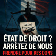 Un cas chimiquement pur de justice partisane (2)