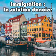 Immigration : le Danemark a t-il la solution ?