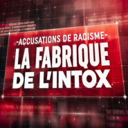 Quand le service public comparait les hommes politiques à des singes !