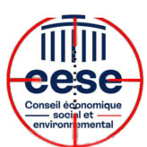 Qui osera faire la peau au CESE ?
