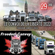 Le convoi de la liberté va t-il nous la rendre ?