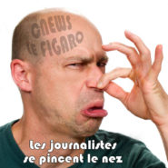 Eric Zemmour : les journalistes se pincent le nez !