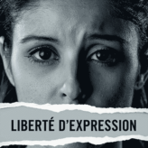 Le Bouclier (anti)démocratique européen