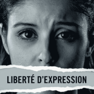 Le Bouclier (anti)démocratique européen