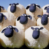 Les Français sont-ils devenus des moutons ?