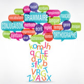 Le nivellement par le bas est dans l&rsquo;ADN de la gauche !