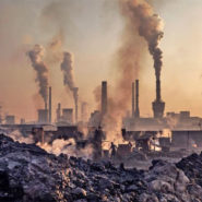 « Vous, les écolos, vous êtes des climatocides ! »