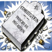 Un principe de précaution à géométrie variable