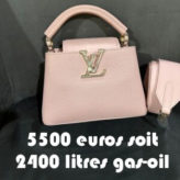 Pendant que les Français se font racketter à la pompe, Brigitte se pavane dans le luxe, en Dior et Louis Vuitton !