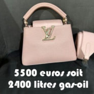 Pendant que les Français se font racketter à la pompe, Brigitte se pavane dans le luxe, en Dior et Louis Vuitton !