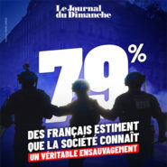Si ça n&rsquo;est pas de l&rsquo;ensauvagement, ça y ressemble !
