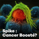 Turbocancers : la protéine Spike en accusation