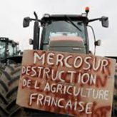 Et si le Mercosur entrainait la chute de l&rsquo;Europe …