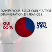 19 millions d’immigrés en France !