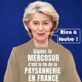 Mercosur : tout le mépris de l&rsquo;oligarchie pour les peuples