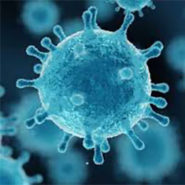 Papillomavirus :  le prochain scandale sanitaire ?