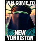 A New York, les Démocrates croient avoir battu Trump !